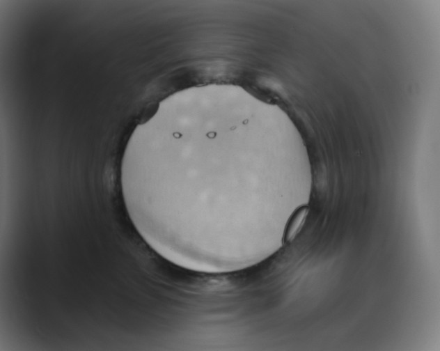 X0000088490715200706191424
