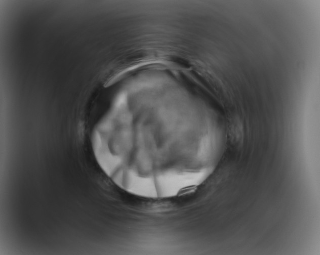 X0000088490716200706191424