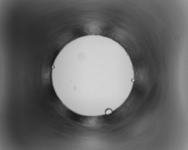 X0000088490717200706191424