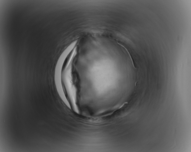 X0000088490720200706191424