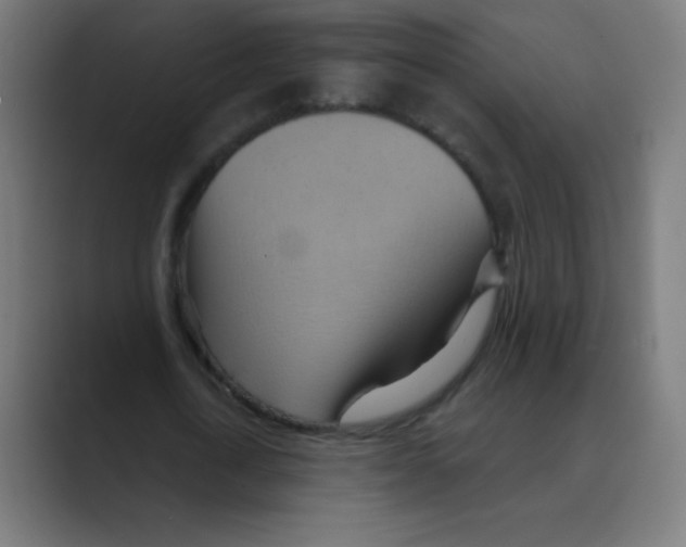 X0000088490722200706191424