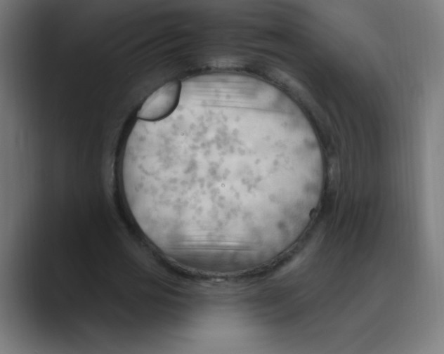 X0000088490725200706191424