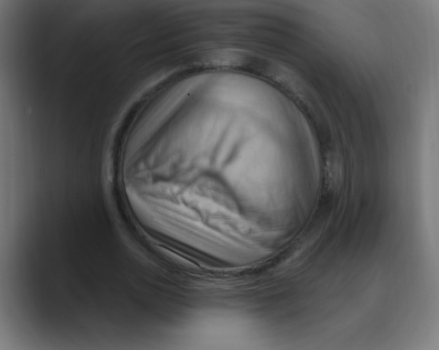 X0000088490726200706191424