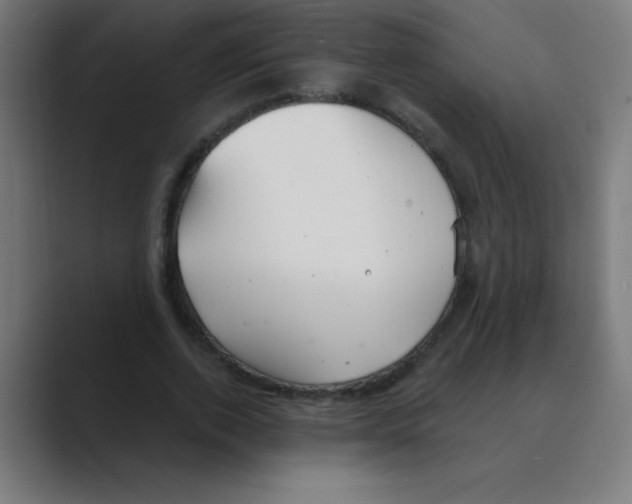 X0000088490728200706191424