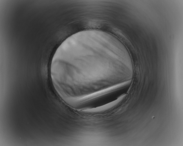 X0000088490729200706191424