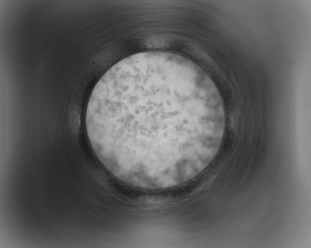 X0000088490733200706191424