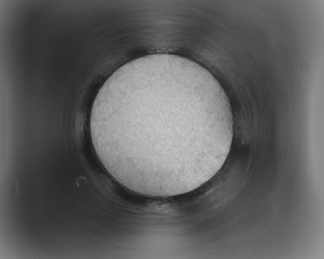 X0000088490742200706191424