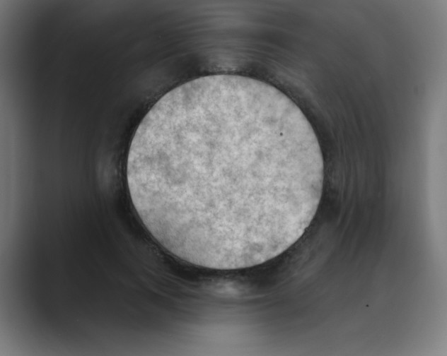 X0000088490743200706191424