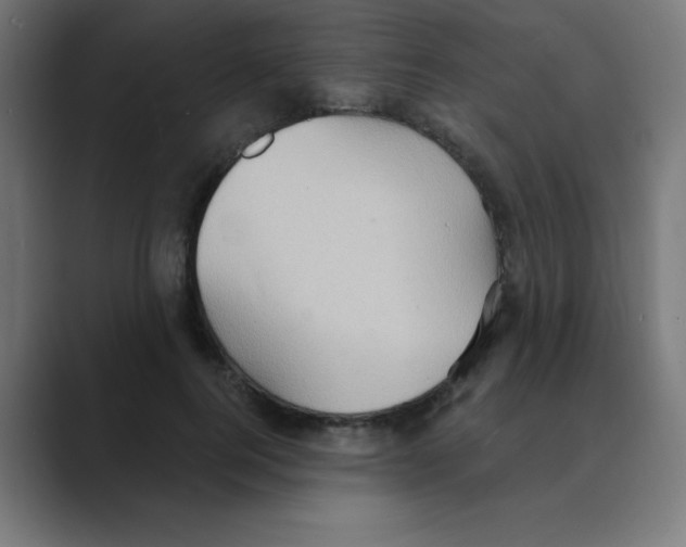 X0000088490744200706191424