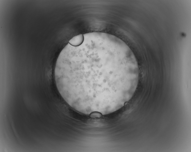 X0000088490745200706191424