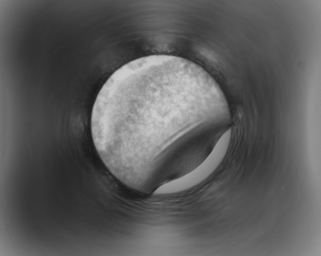 X0000088490747200706191424