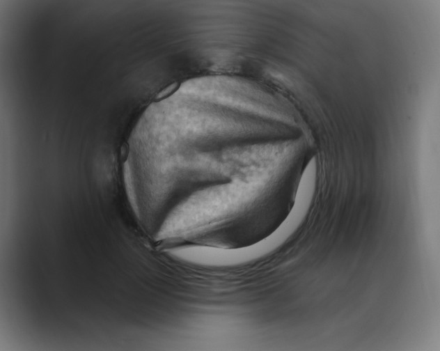 X0000088490748200706191424