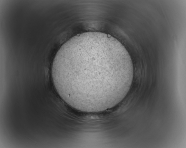 X0000088490749200706191424