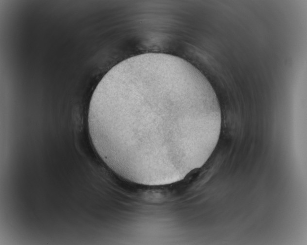 X0000088490751200706191424