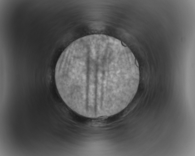 X0000088490758200706191424