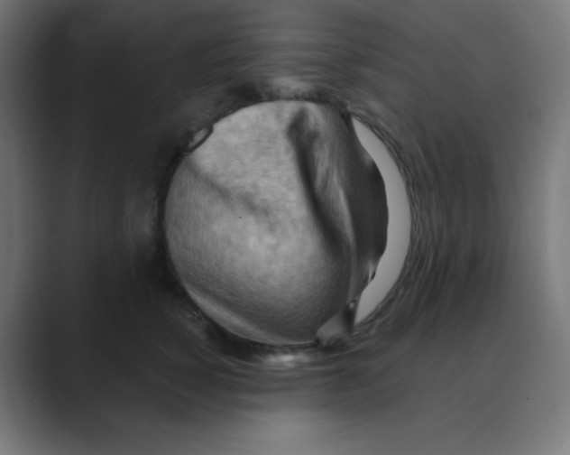 X0000088490760200706191424
