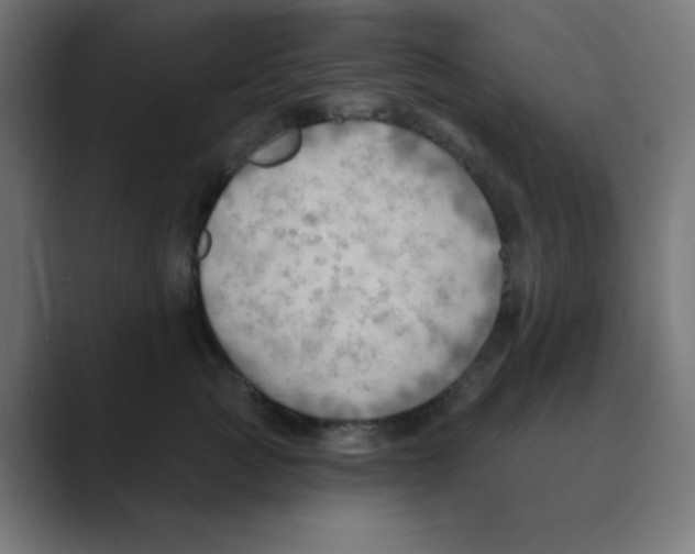 X0000088490761200706191424