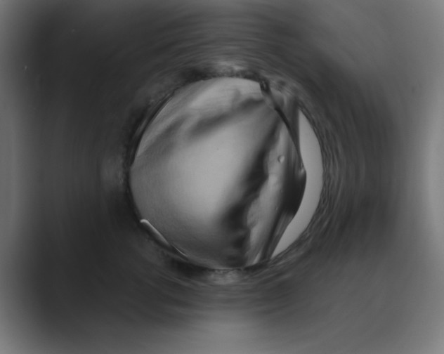 X0000088490762200706191424