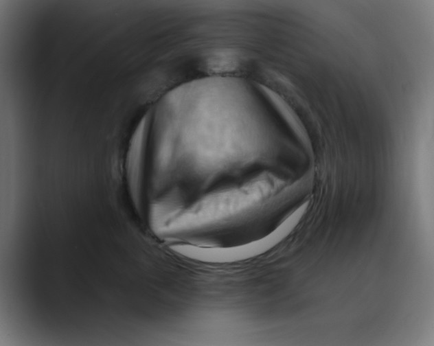 X0000088490763200706191424