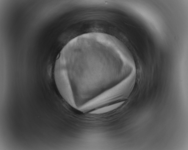 X0000088490765200706191424