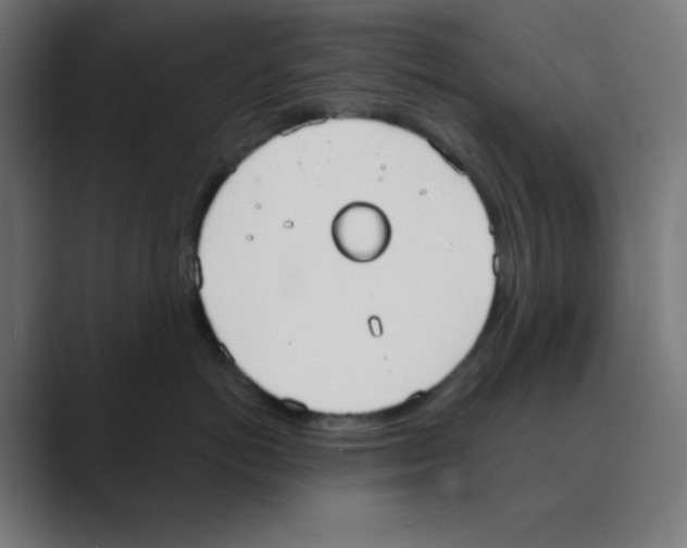 X0000088490766200706191424