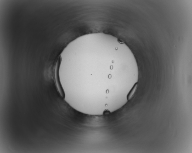 X0000088490768200706191424