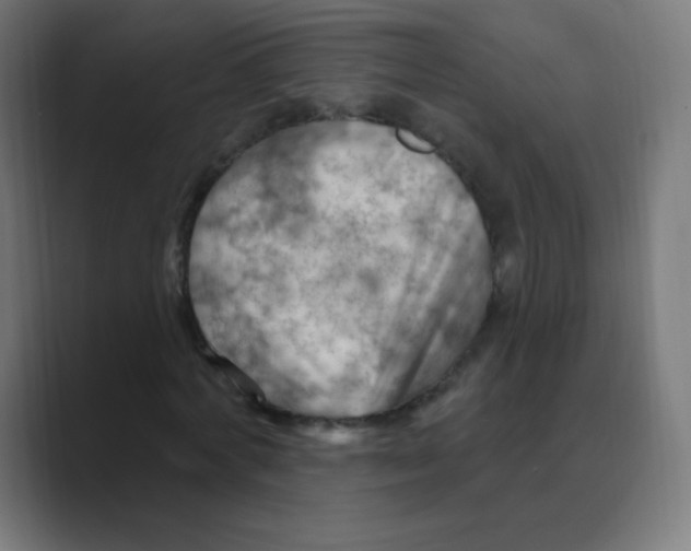 X0000088490772200706191424