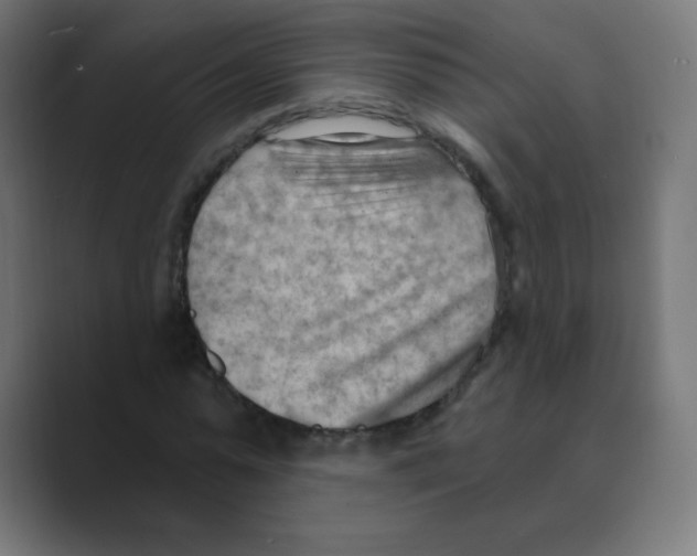 X0000088490775200706191424