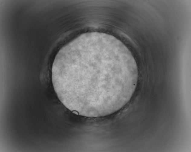 X0000088490776200706191424