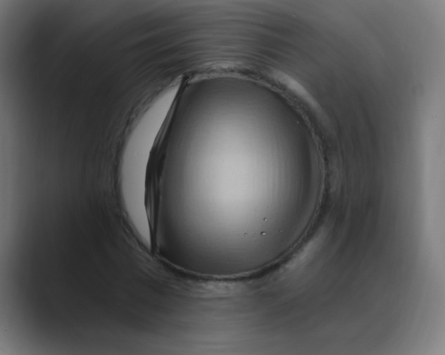 X0000088490777200706191424