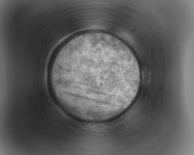 X0000088490780200706191424