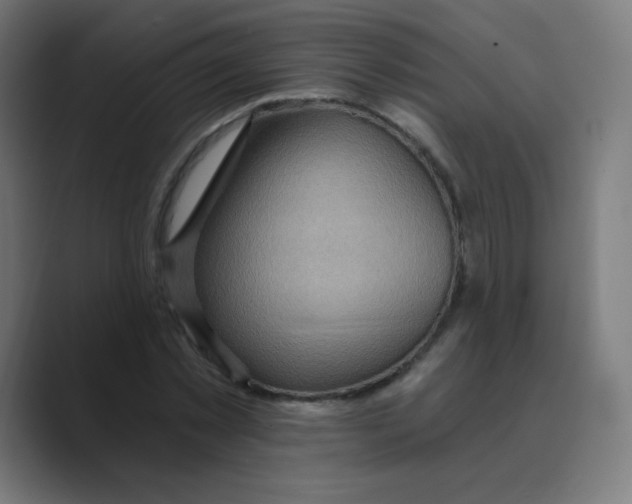 X0000088490781200706191424