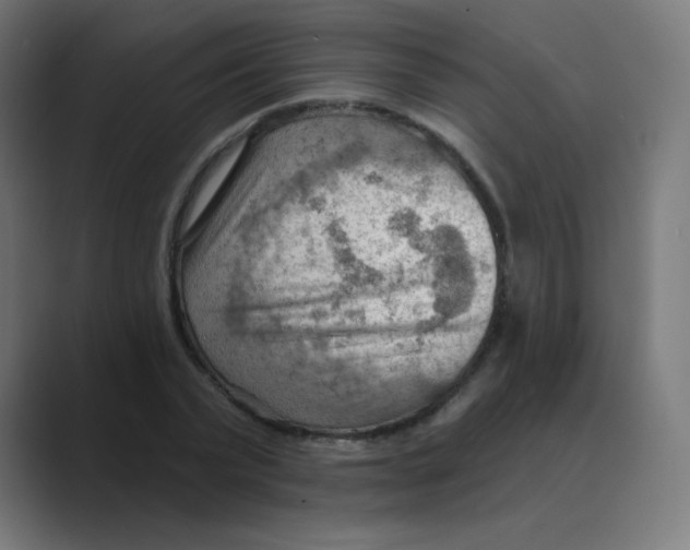 X0000088490783200706191424