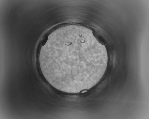 X0000088490784200706191424