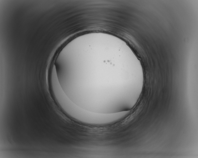 X0000088490788200706191423