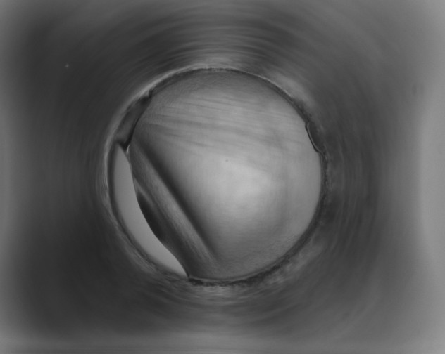 X0000088490792200706191423