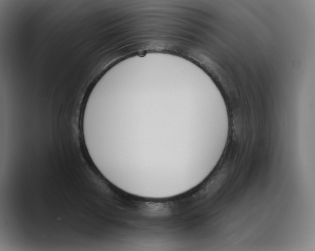 X0000088490794200706191423