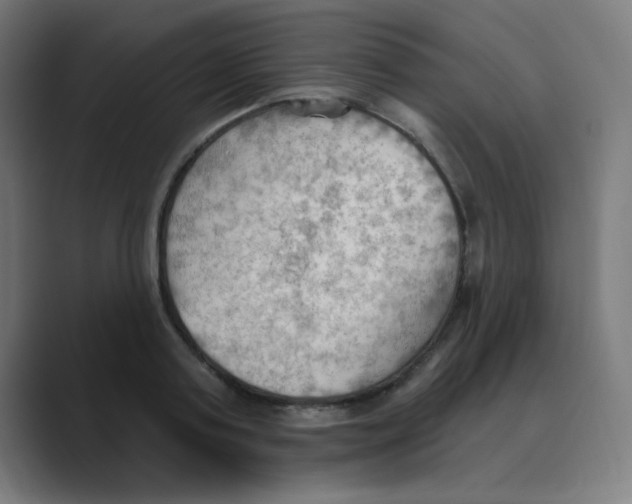 X0000088490795200706191423