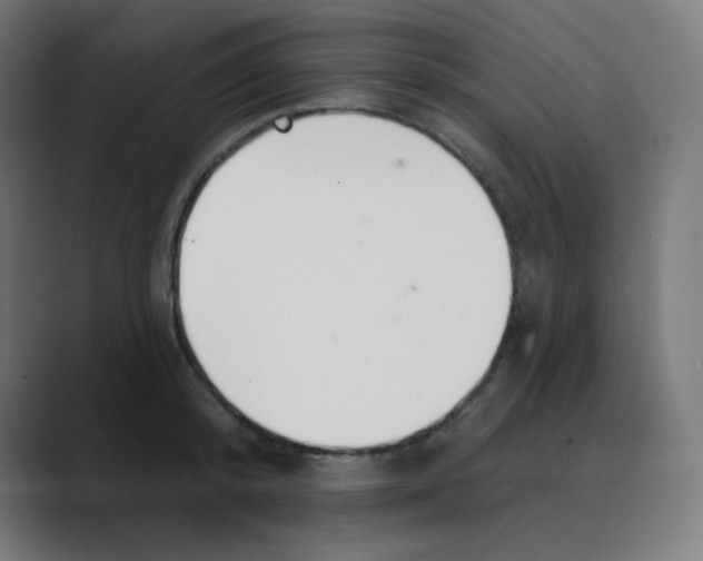 X0000088490800200706191423