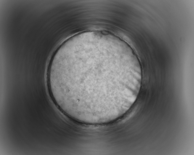 X0000088490803200706191423