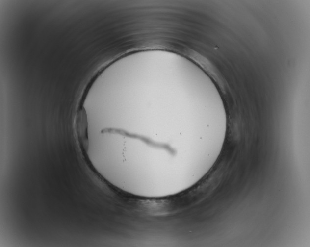 X0000088490805200706191423