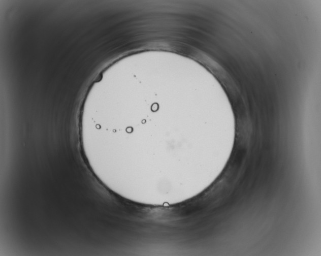 X0000088490808200706191423