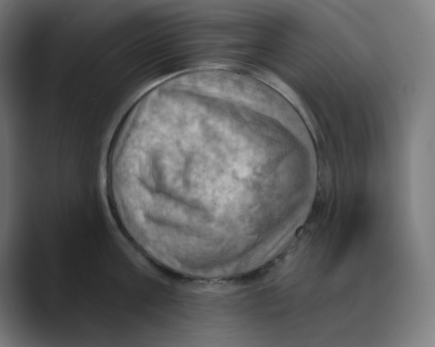 X0000088490811200706191423