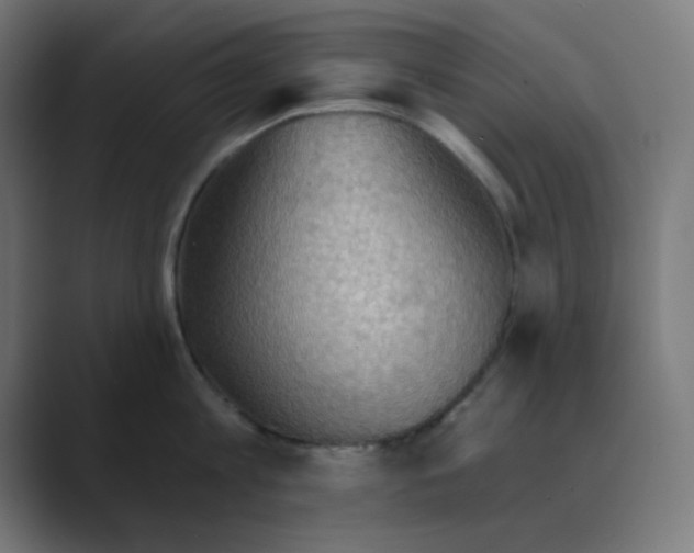 X0000088490813200706191423
