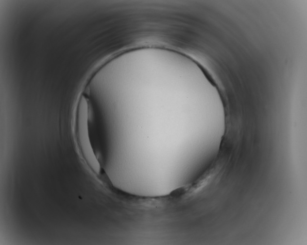 X0000088490815200706191423