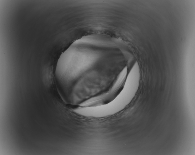 X0000088490818200706191423