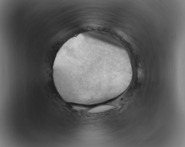 X0000088490822200706191423
