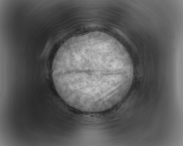 X0000088490823200706191423