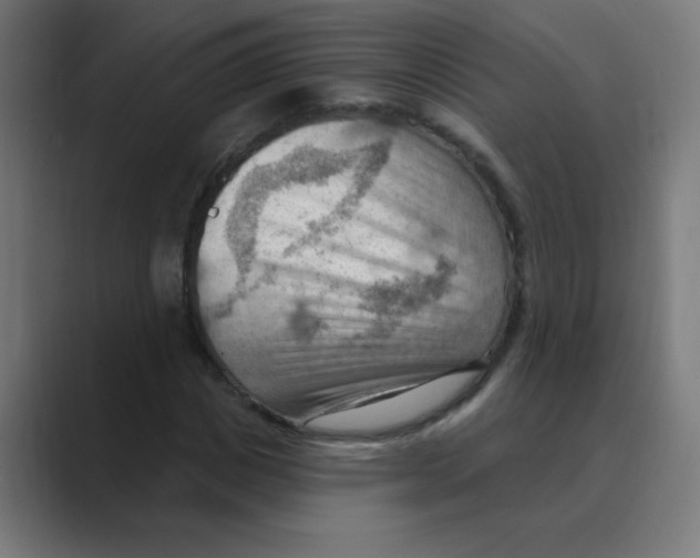 X0000088490825200706191423