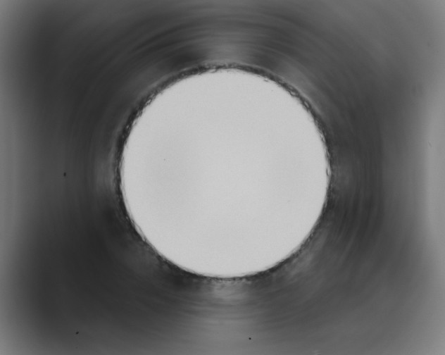 X0000088490832200706191423